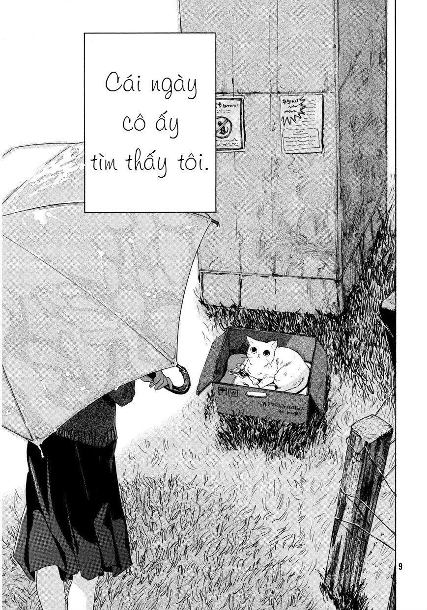 chú mèo và cô chủ chapter 1 6