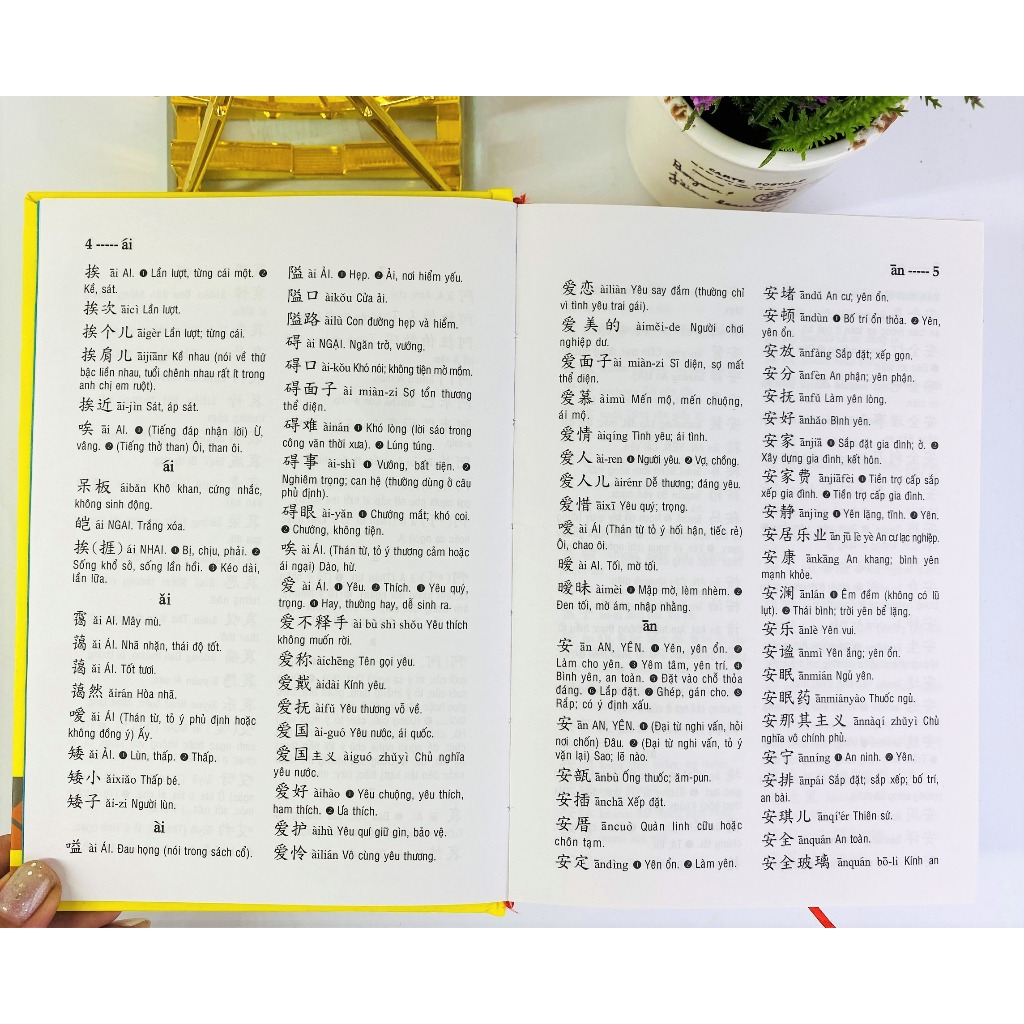 Sách - Từ điển Trung Việt (bìa cứng) - ndbooks - ảnh 7