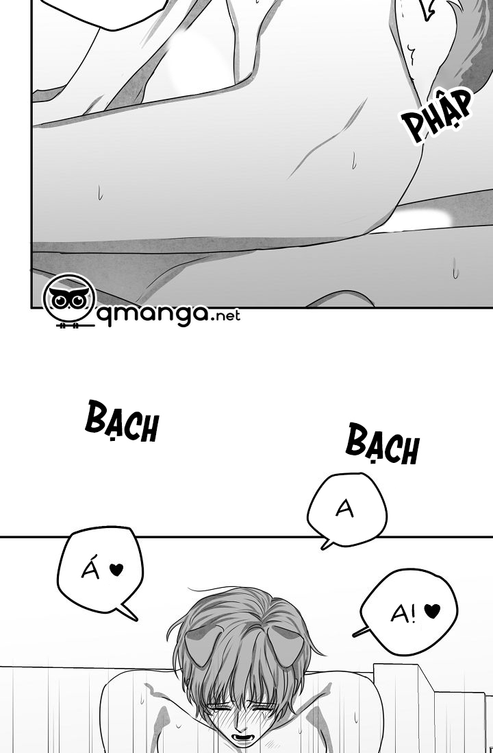 khi cún biết yêu chapter 25 47