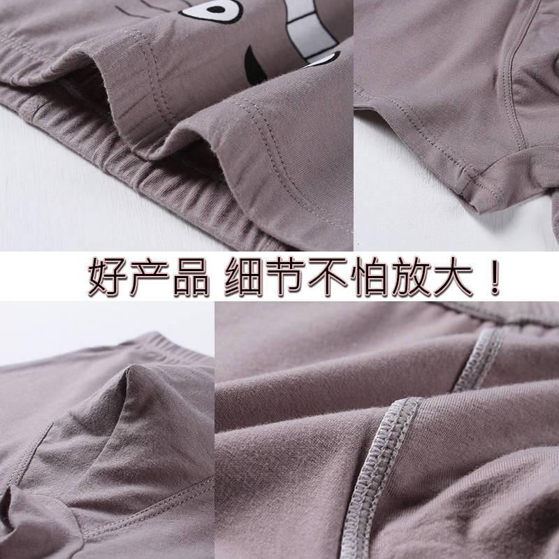 Combo 5 quần lót bé trai Boxer Cotton Cartoon Boy