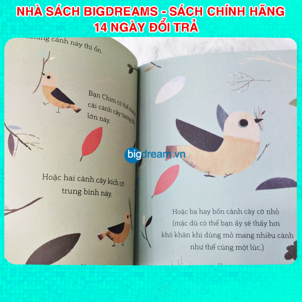 Chim xây Tổ - A Science Storybook About Forces Truyện kể cho bé trước giờ đi ngủ phát triển tư duy