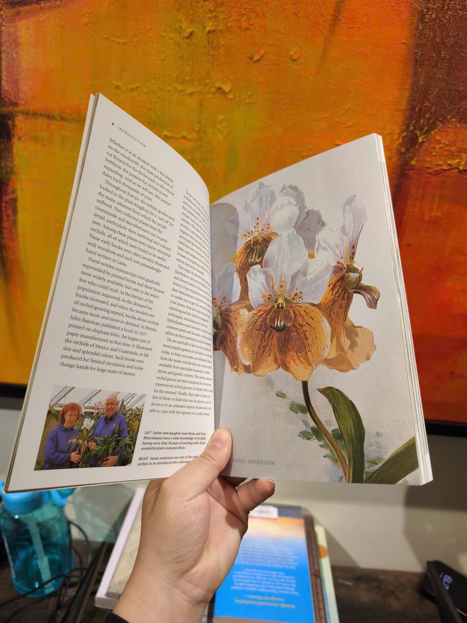 Sách - Orchid Basics by Brian Rittershausen - Gardening Book