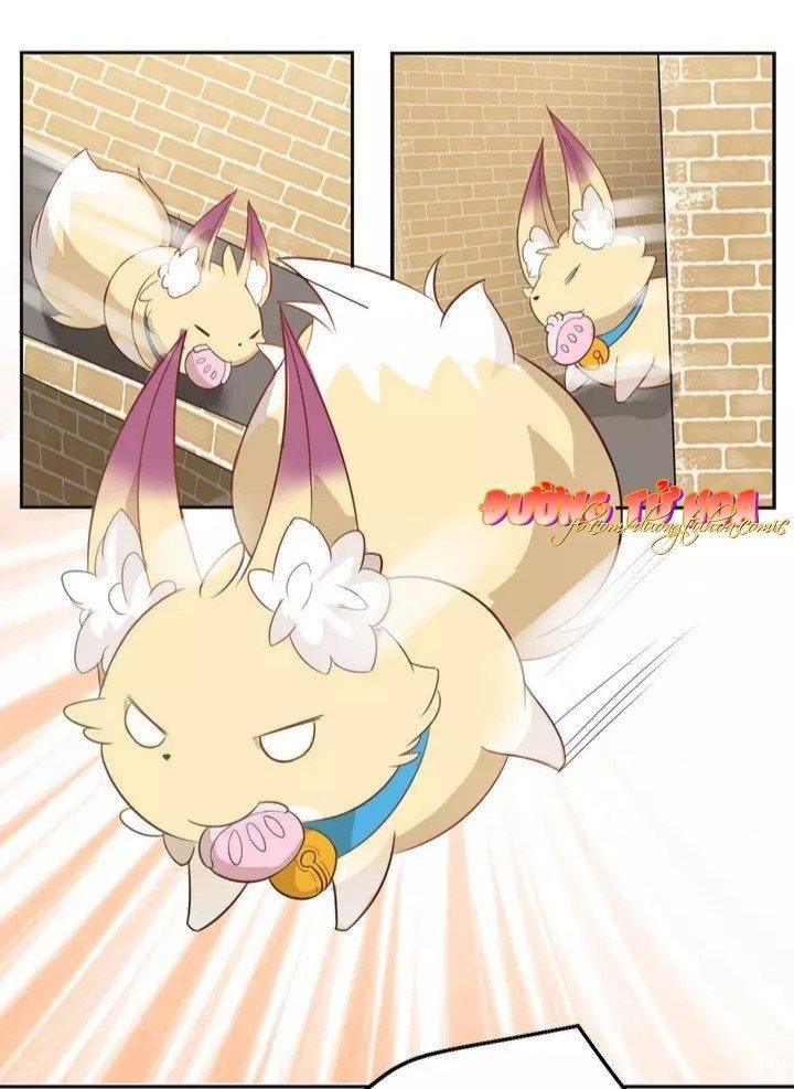 nữ tài thần hôm nay cũng rất nghèo chapter 3 11