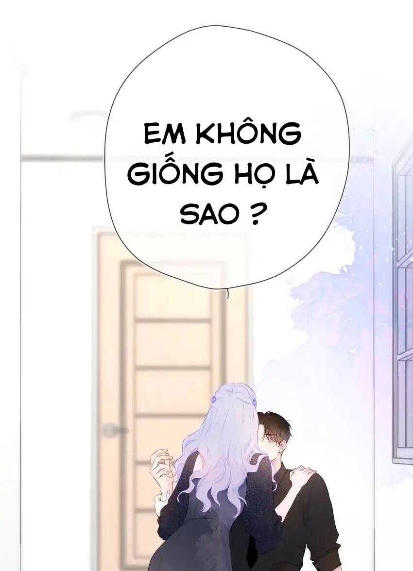 vì sao của tôi chapter 131 11