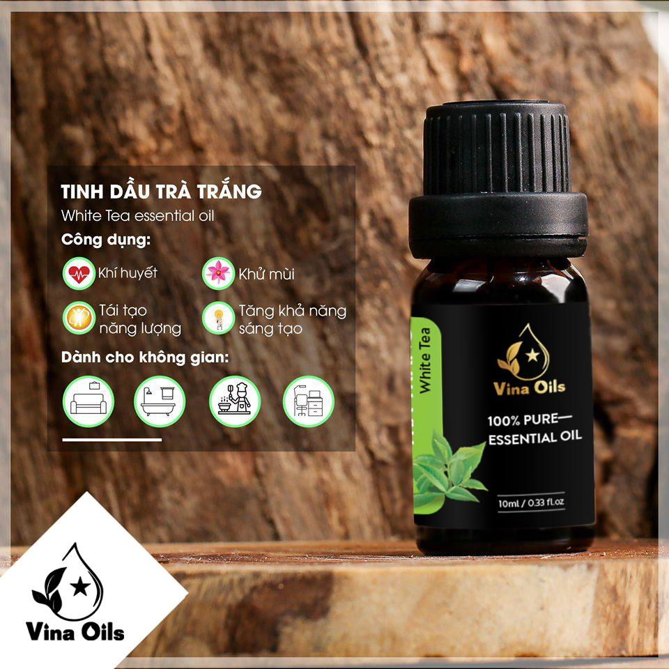 Tinh Dầu Trà Trắng Vina Oils 10ml - White Tea Essential Oil 10ml - Chiết Xuất Từ Lá Non - Hương Thơm Thanh Khiết Và Nhẹ Nhàng Giảm Căng Thẳng Mệt Mỏi, Mang Đến Sự Tự Tin, Thư Thái