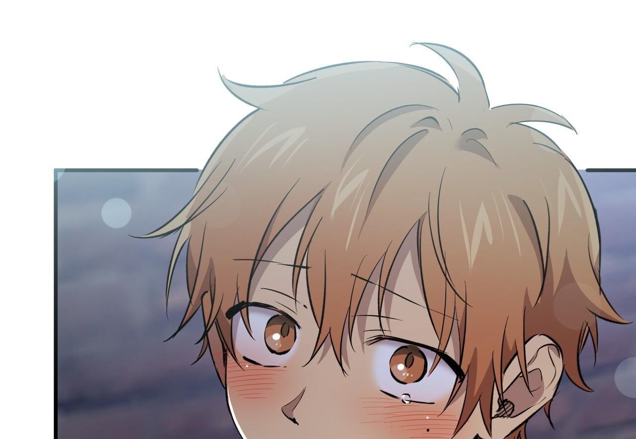 những chú thỏ của hapypy chapter 60 58