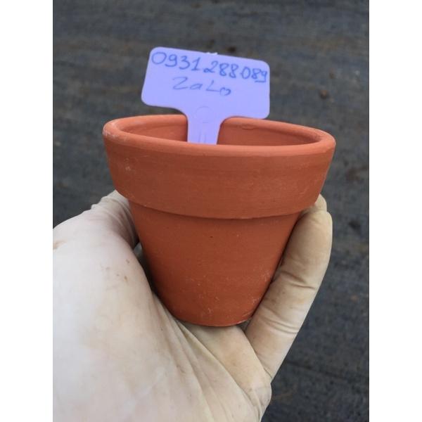 Chậu đất nung 7:6cm trồng sen đá xương rồng