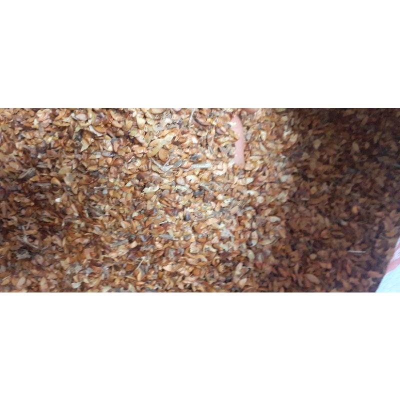 250 gram hạt bằng lăng tím giống