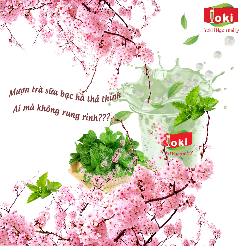 Trà sữa Bạc hà Yoki