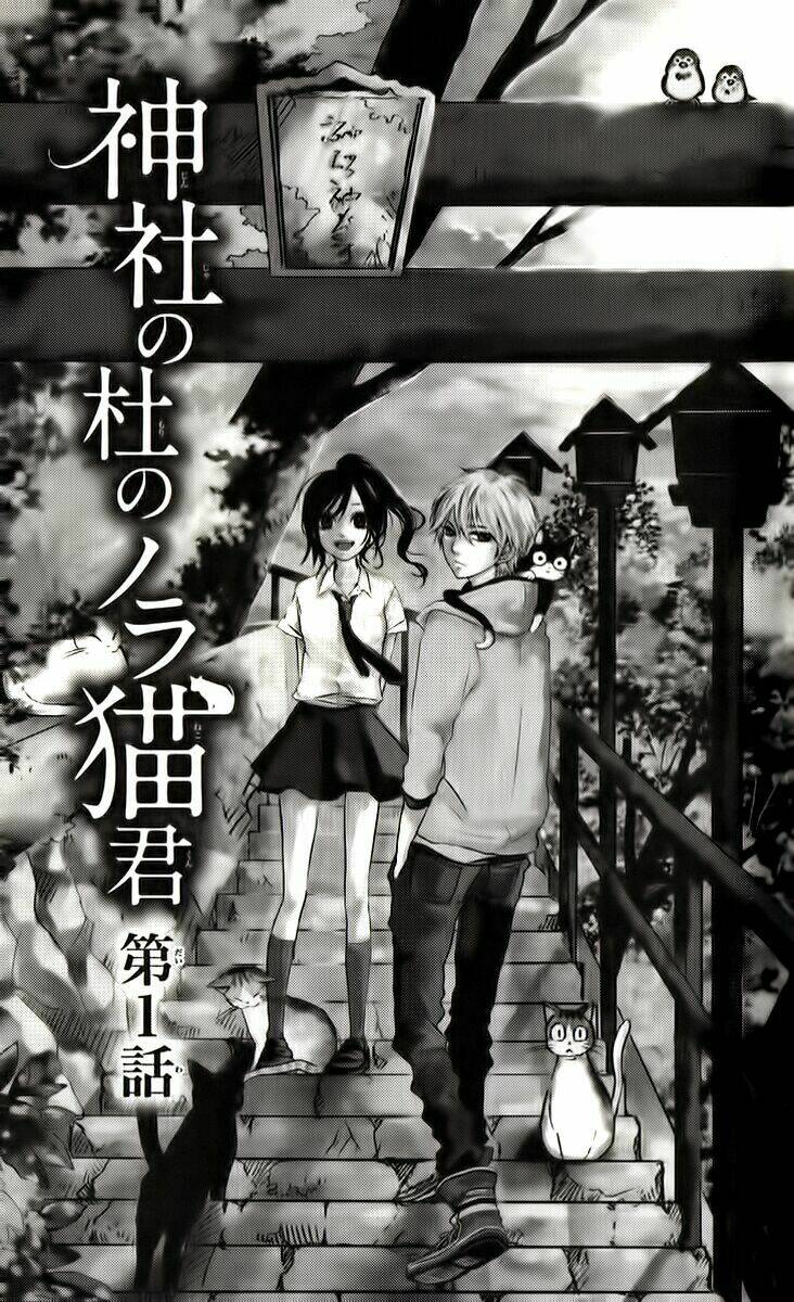 k9-jinja no mori no nora neko-kun chapter 1 3