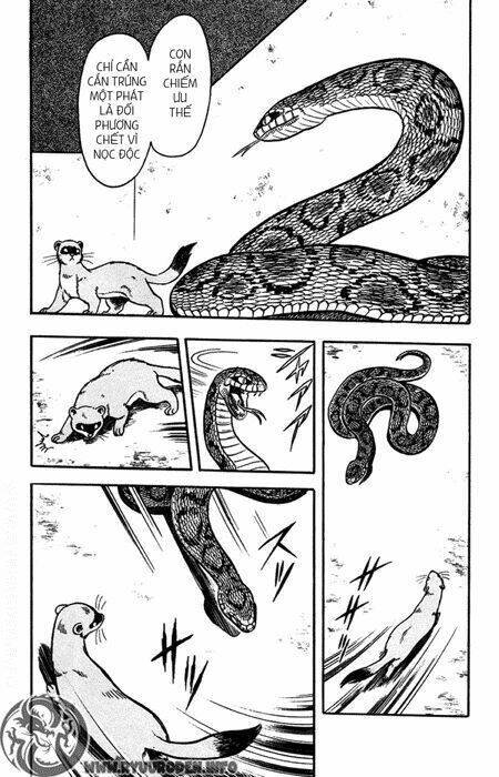 hoàng phi hồng phần 1 chapter 9 20