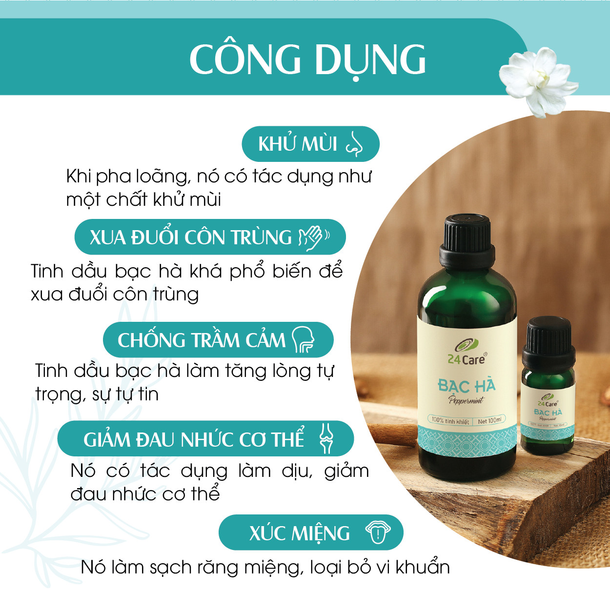 Tinh dầu Bạc Hà 24Care 100ml - Chiết xuất thiên nhiên, khử mùi, thơm phòng, giúp tinh thần tỉnh táo.