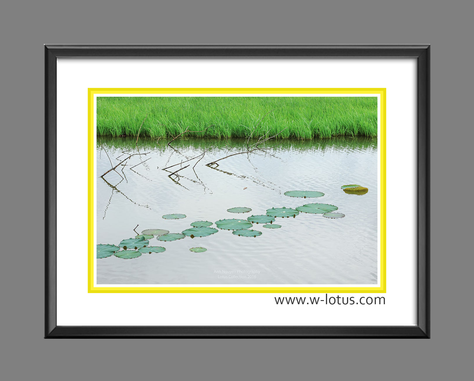 Tranh canvas hoa Sen treo phòng khách ST-00327