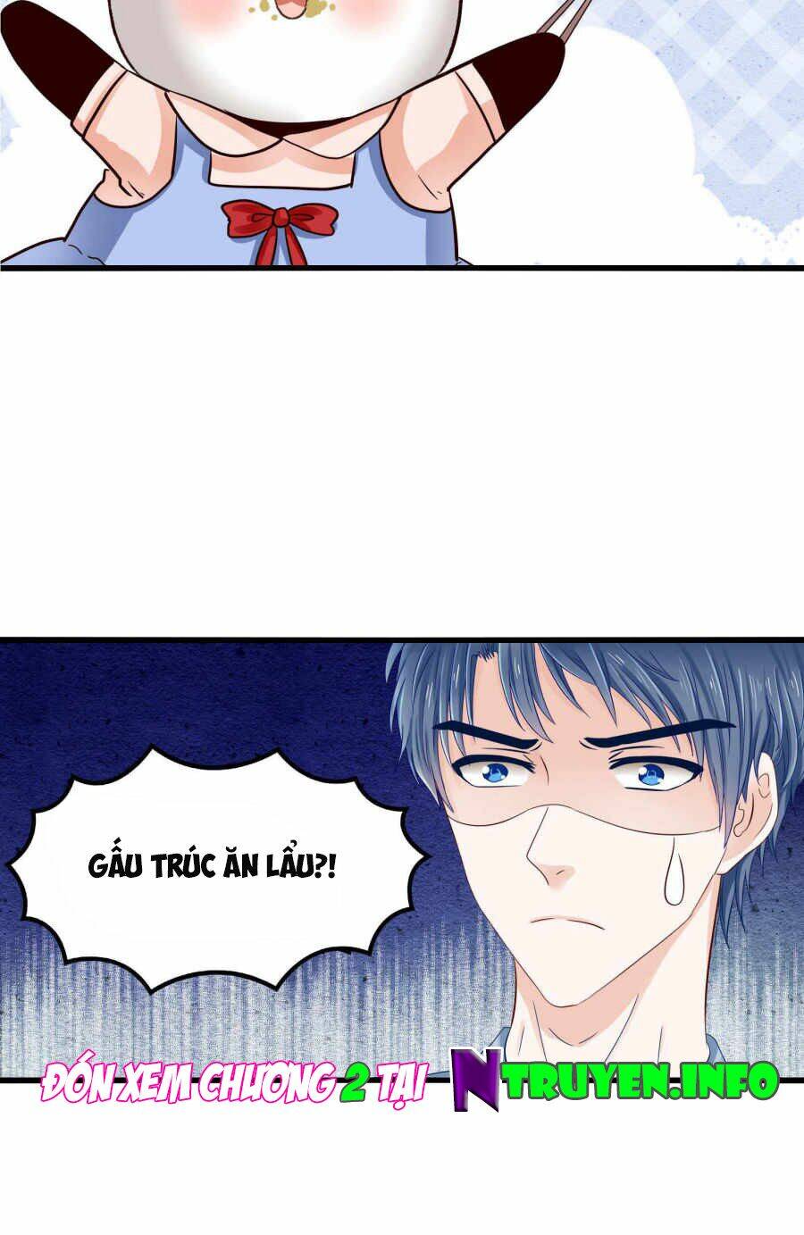 tôi bị gấu trúc nhìn trúng rồi chapter 1 13