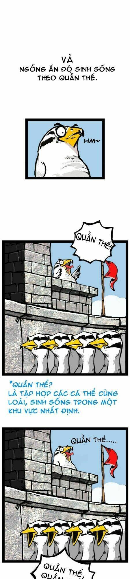 earth, human, and animal chapter 18 13