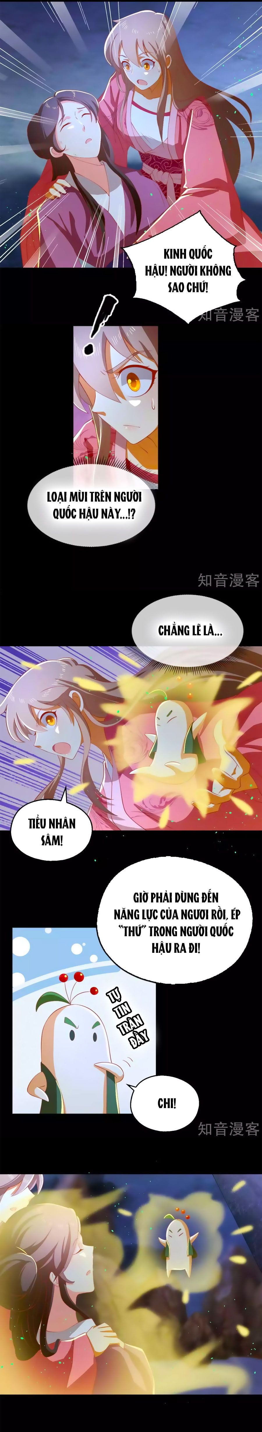 Khuynh Thành Cuồng Phi Của Tà Vương chapter 102 - Trang 8