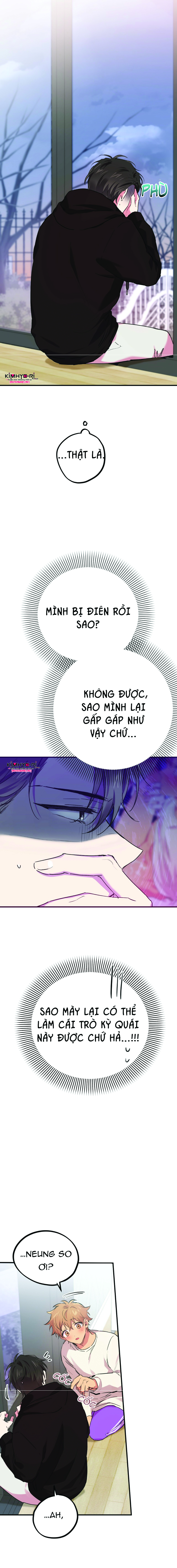 những chú thỏ của hapypy chapter 9 15