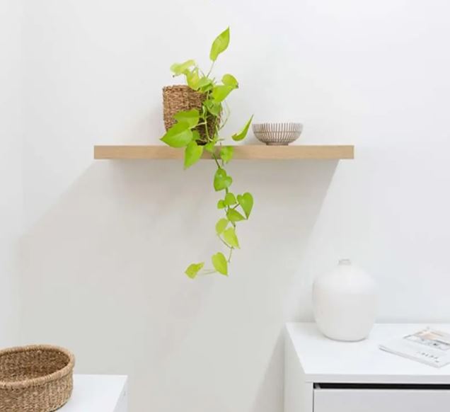 Kệ Thanh Ngang Treo Tường Vân Gỗ Sồi Gỗ Dày Nhiều Kích Thước Juno Sofa CTKT005 KT 120x20x2.5cm