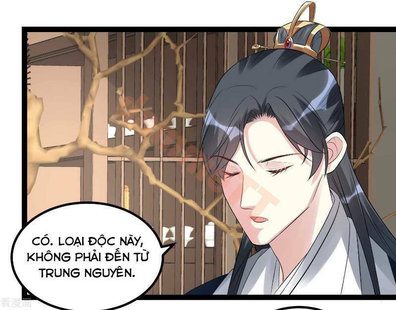 độc y đích nữ chapter 56 10