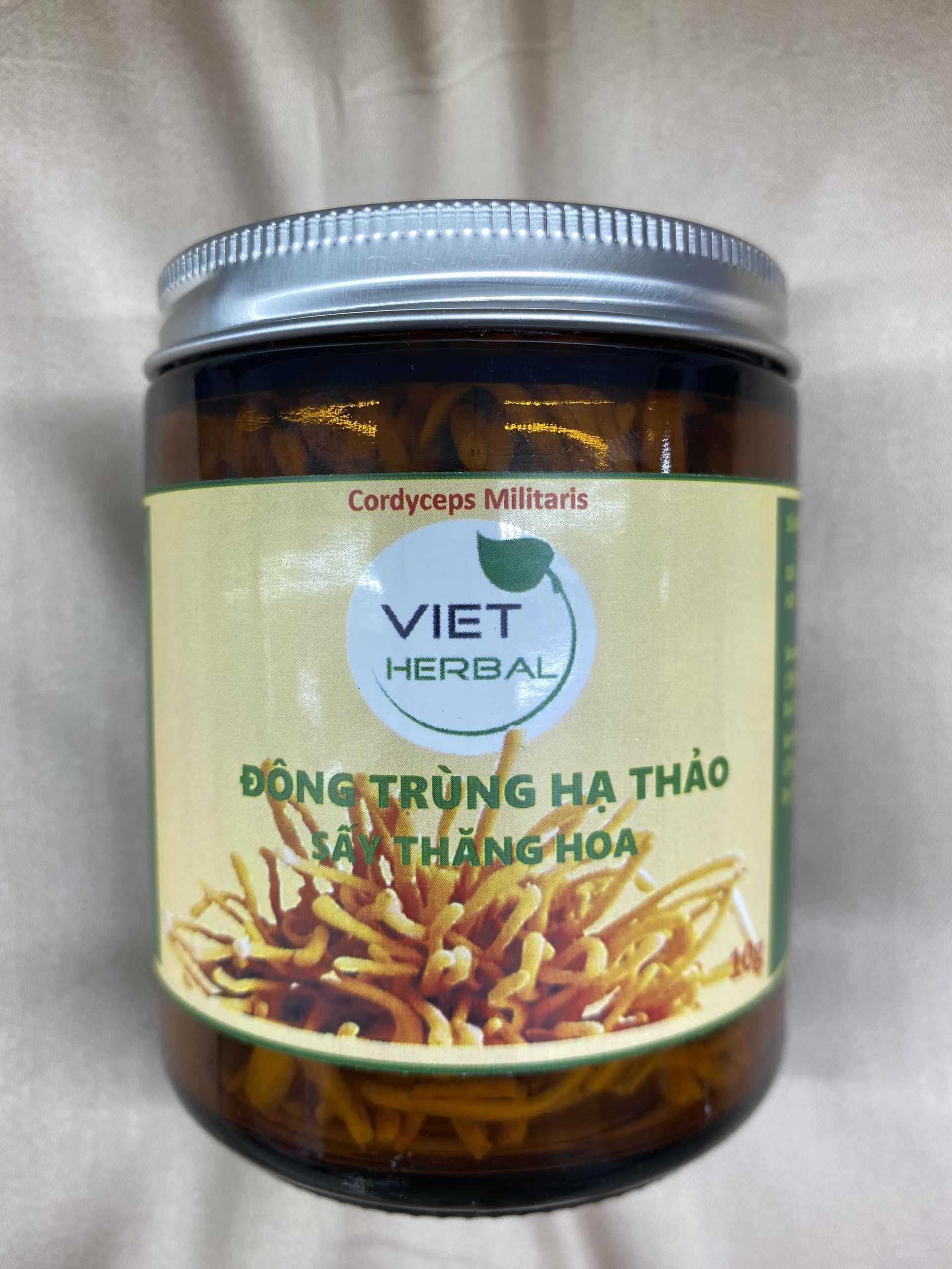 Đông trùng hạ thảo sấy thăng hoa hũ 10g tăng cường sức khỏe sức đề kháng