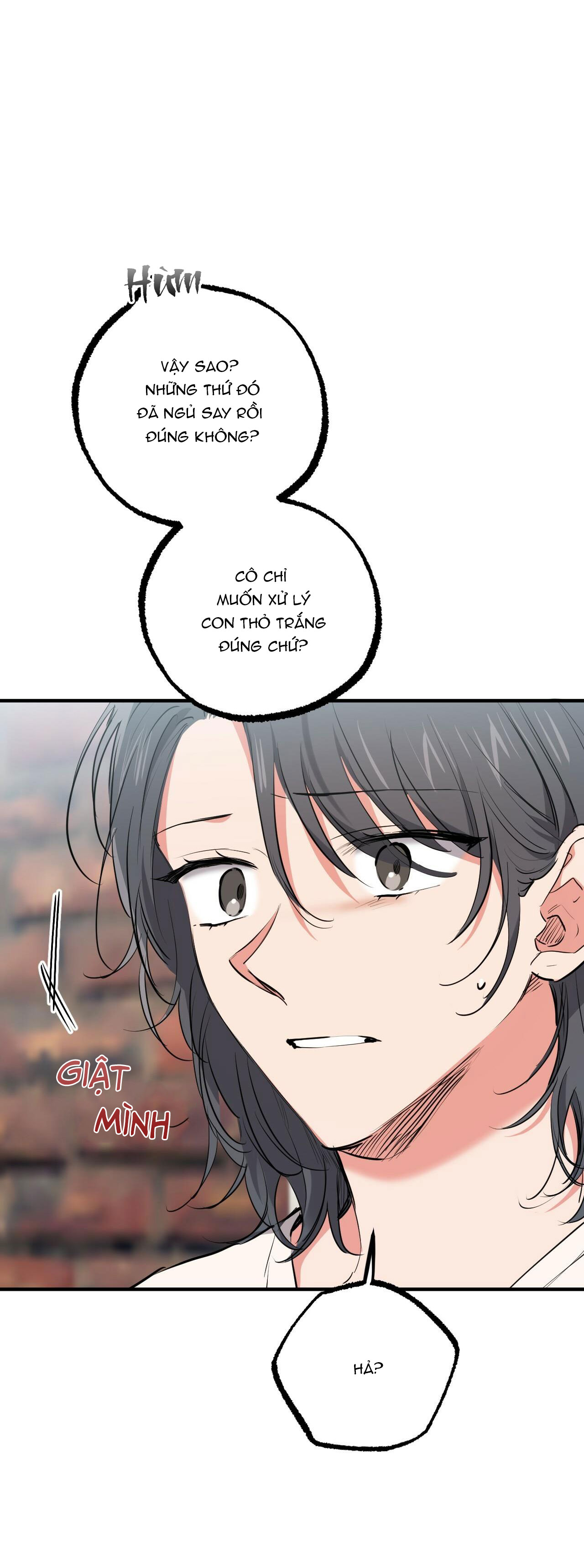 những chú thỏ của hapypy chapter 36 24