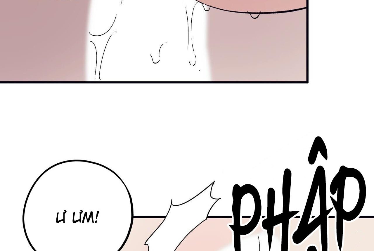 chàng dâu nhà họ kang chapter 46 19