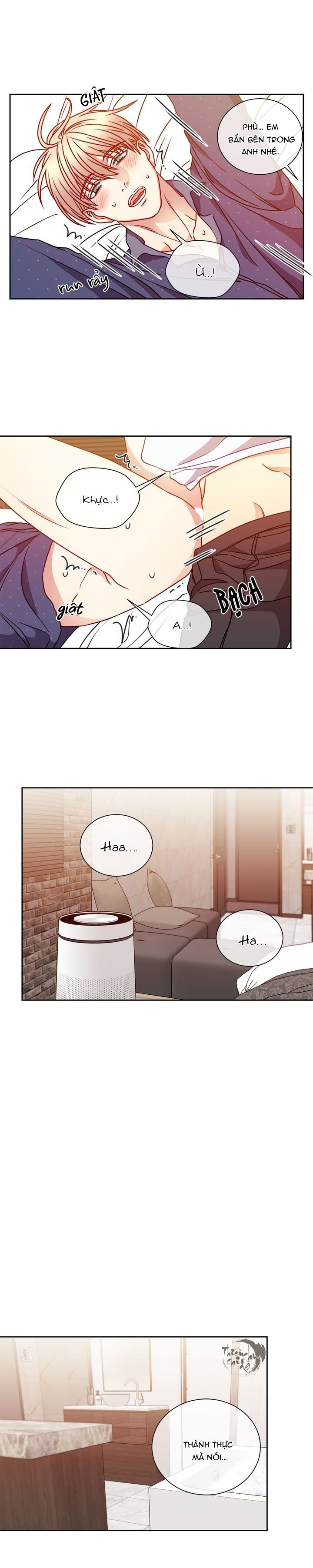 tựa như tình đầu chapter 58 11