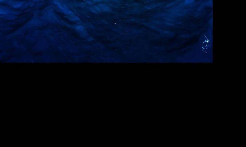 nuôi dưỡng một hắc long chapter 41 53