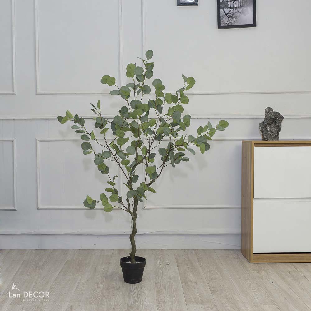 Cây giả - Cây bạch đàn trang trí cao 130cm - LC3050