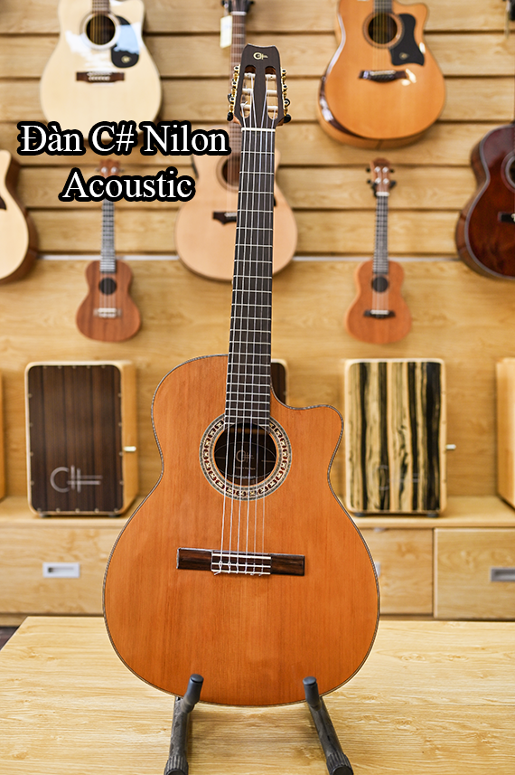 Đàn guitar C# Nilon Acoustic NA-01