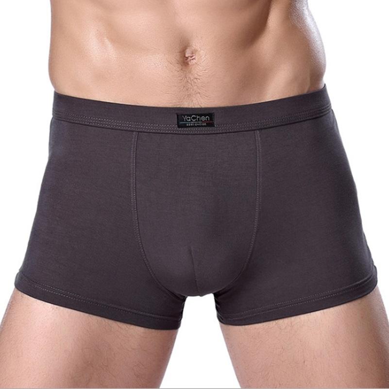 Bamboo Nam Panties Sexy Underwear Men Cuecas Boxer Boxer Thời Trang Mới Shorts Mens Underware 4 cái/lốc Miễn Phí Vận Chuyển