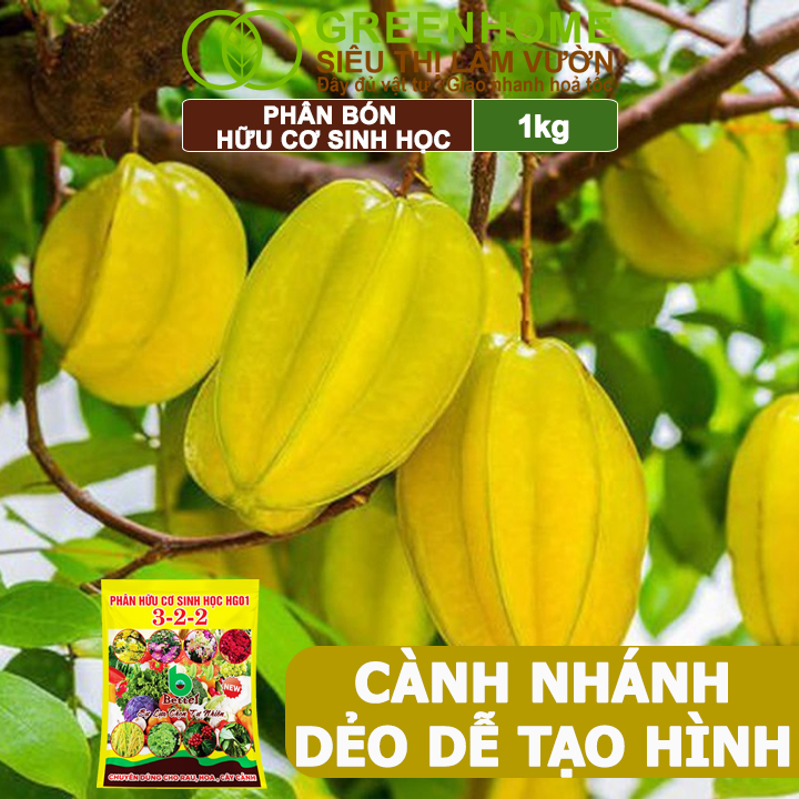 Phân Bón Hữu Cơ Greenhome, Better, Bao 1kg, Sinh Học Giúp Cây Khoẻ, Ổn Định, Sai Hoa, Đậu Trái