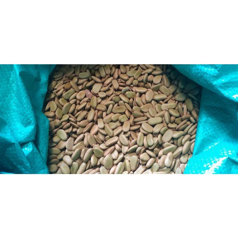 500 gram hạt keo gai