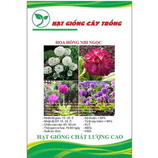 Hạt giống hoa hồng nhi ngọc CT438 - Gói 50 hạt