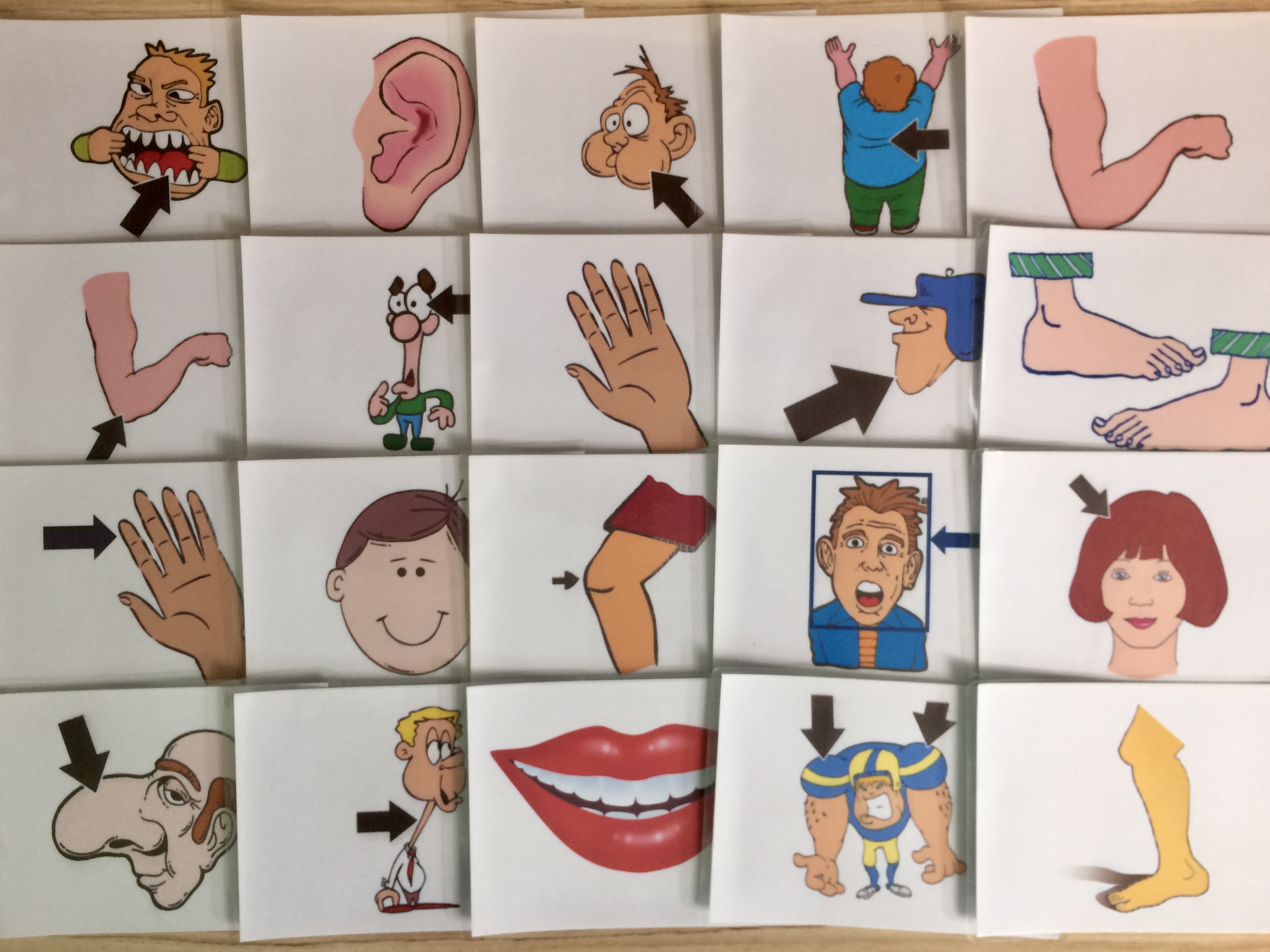 Body part Flashcards - Normal External Parts - Thẻ học tiếng Anh chủ đề các bộ phận cơ thể thông thường - 20 cards