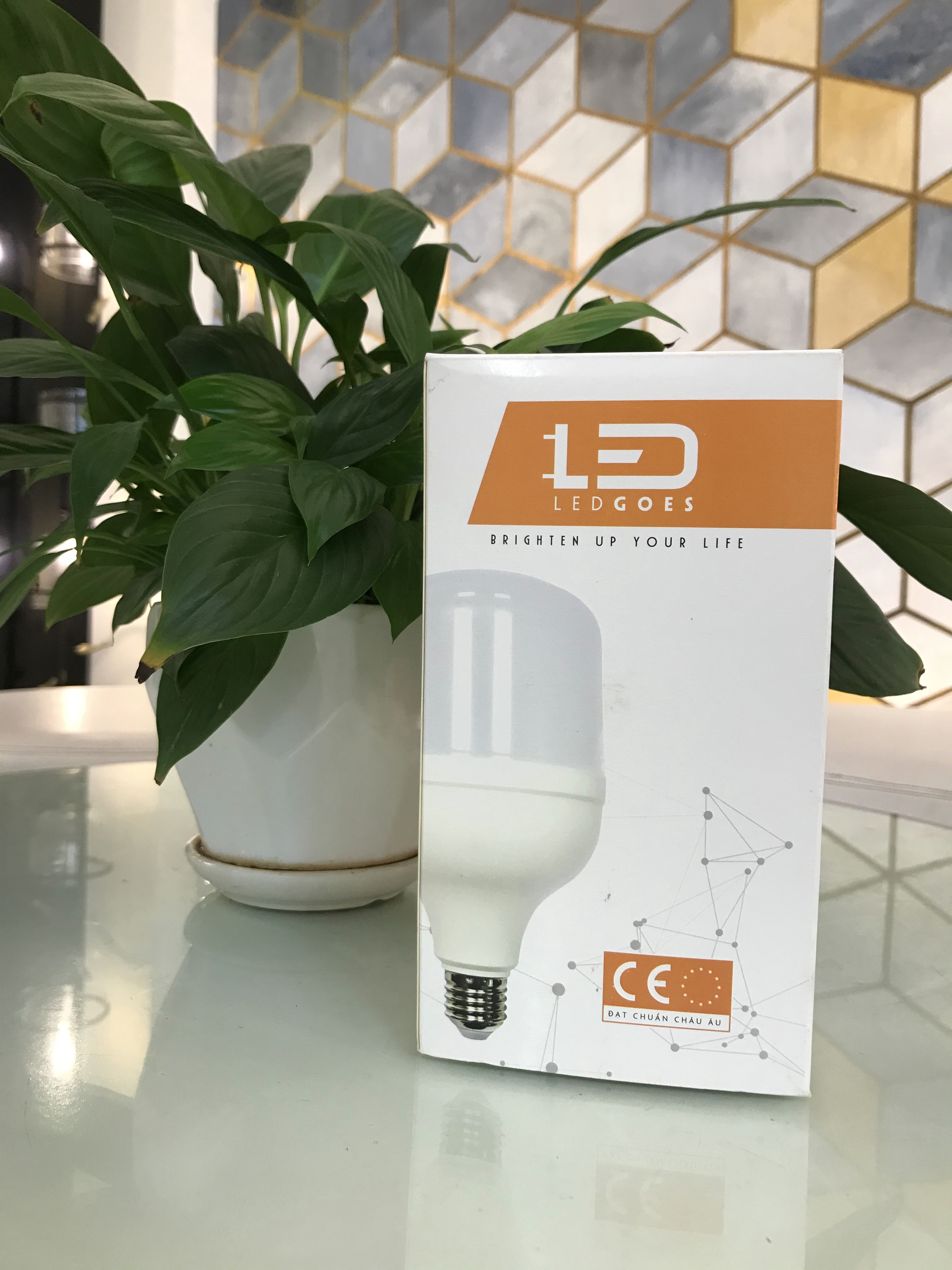 Bóng đèn LED bulb trụ LEDGOES 13W