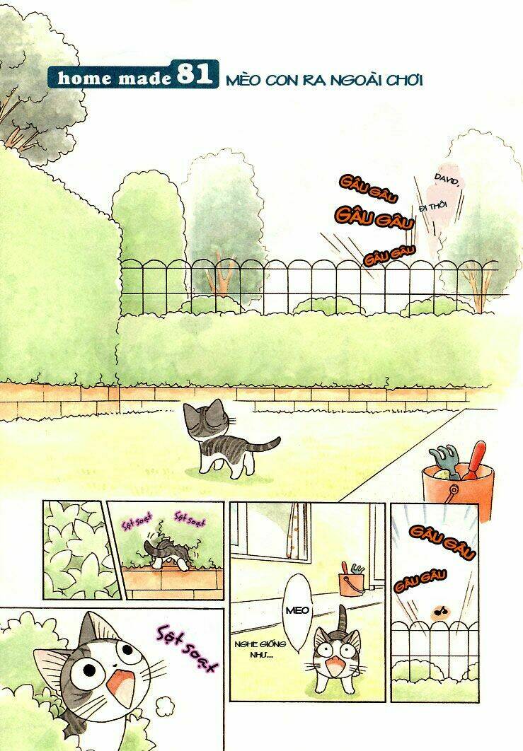 chi's sweet home chapter 81 3