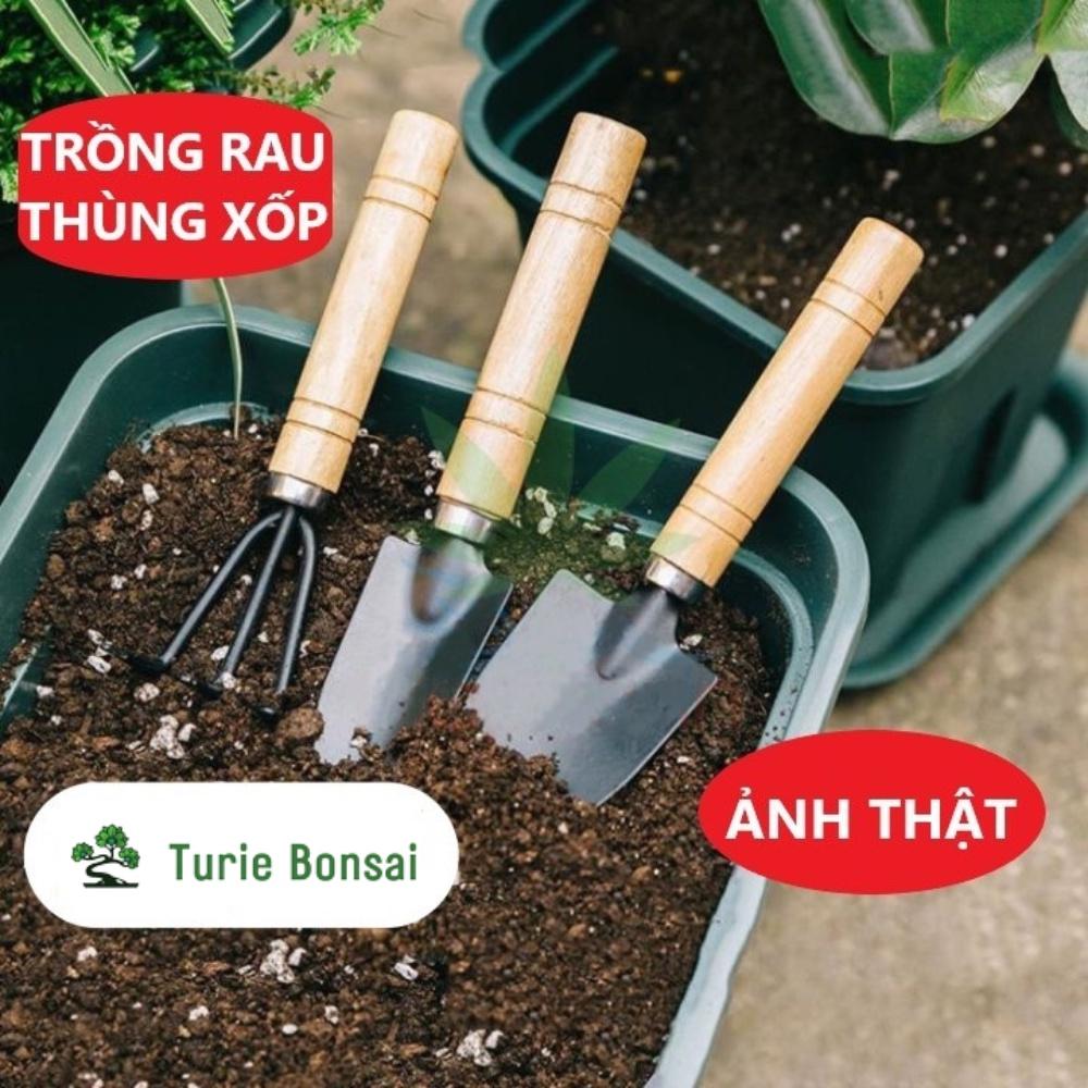 Bộ 03 Dụng cụ làm vườn cán gỗ Xẻng + Bay + Cào đất trồng rau trồng hoa chăm cây cảnh