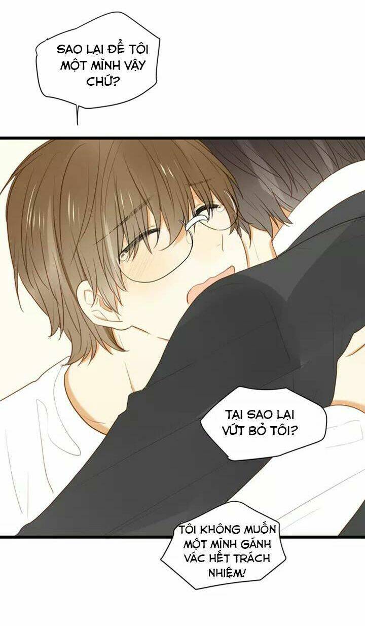 điều giáo quan hệ chapter 28 5