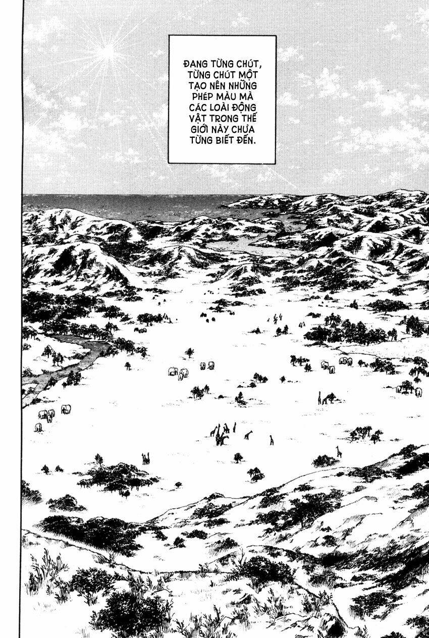 doubutsu no kuni chapter 1 78