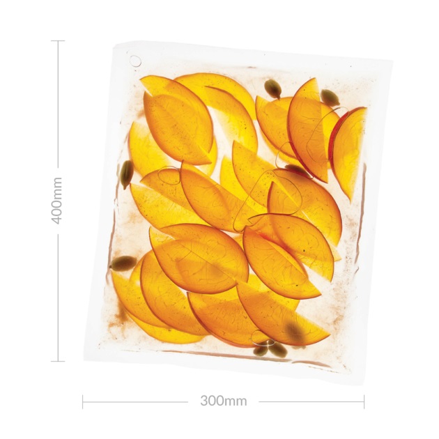 Hộp 200 Túi Hút Chân Không Sous Vide Tools Boilable Chamber Vacuum Pouches (pack of 200) - Hàng Nhập Khẩu