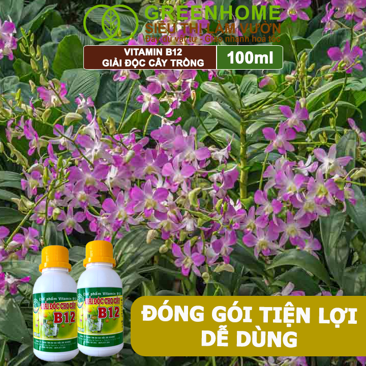 Chế Phẩm Vitamin B12 Greenhome, Chai 100ml, Chống Sốc, Phục Hồi Giải Độc Cho Lan, Cây Cảnh Khi Bị Bón Phân Quá Liều