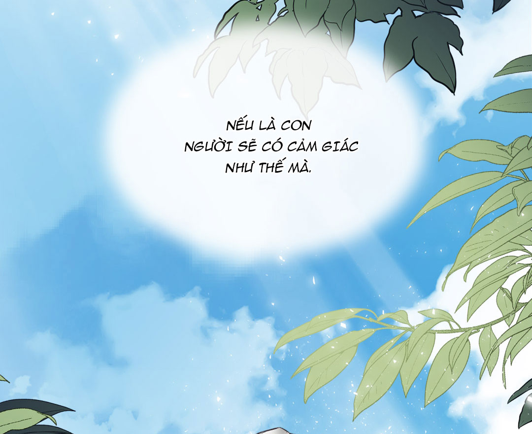 rừng biển chapter 0 13