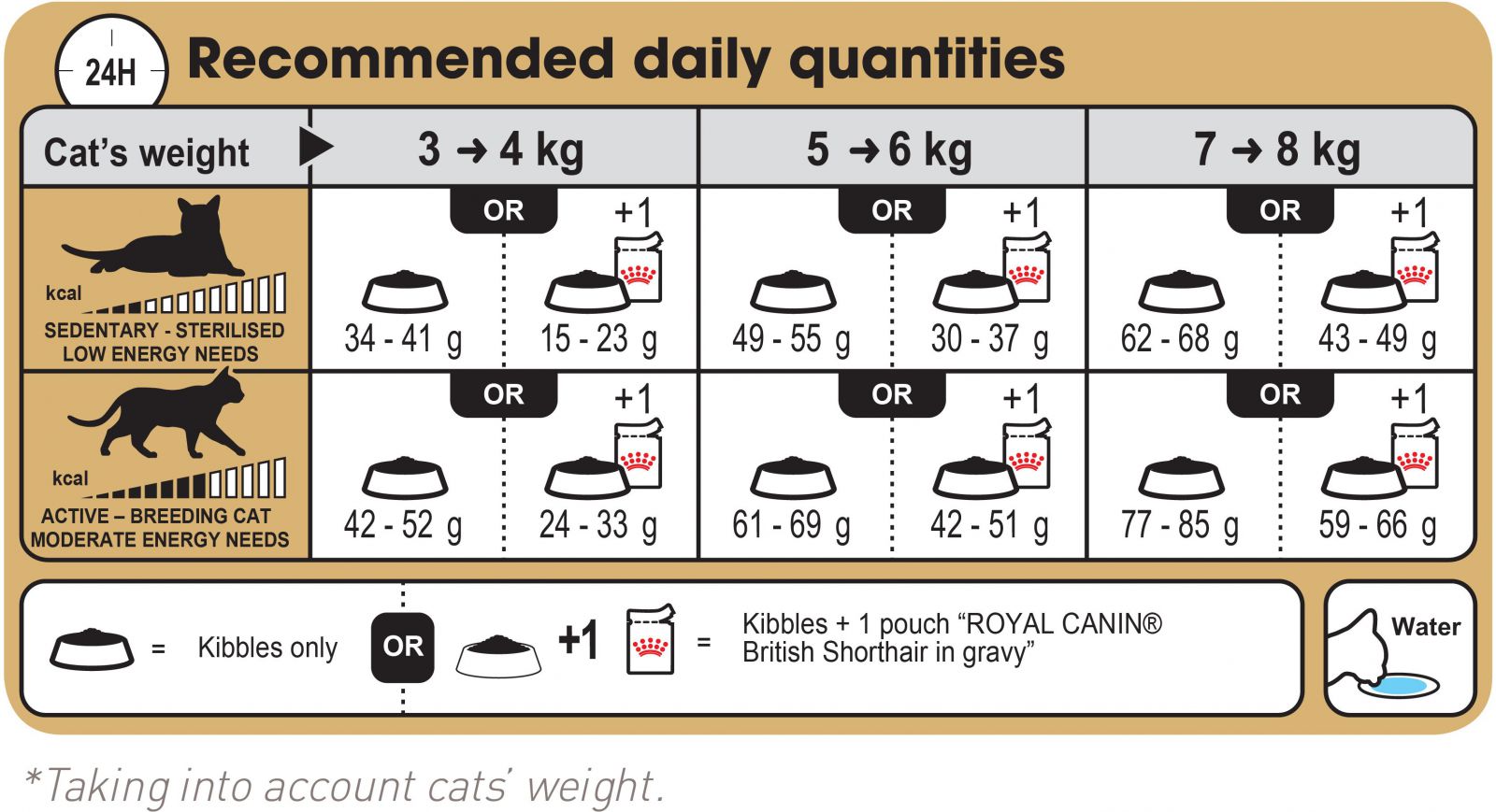 Thức ăn cho mèo ROYAL CANIN BRITISH SHORTHAIR ADULT