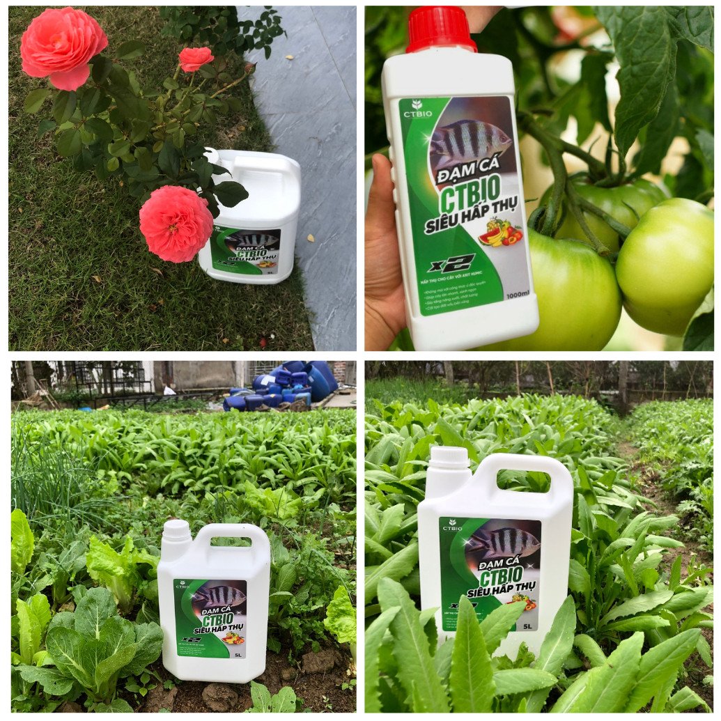 Đạm Cá Hữu Cơ CTBIO (Chai  1 Lít) Nguyên Chất - Mùi Thơm - Dinh Dưỡng Tự Nhiên cho rau hữu cơ, cây cảnh, hoa quả sạch tại nhà.