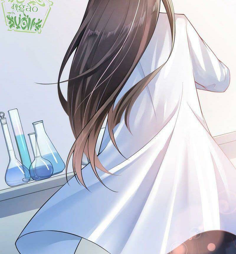 quận chúa vững vàng, thiết lập nhân vật không thể vỡ chapter 0 2