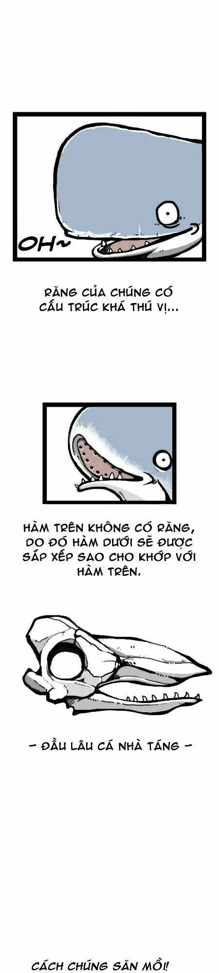 earth, human, and animal chapter 13 13