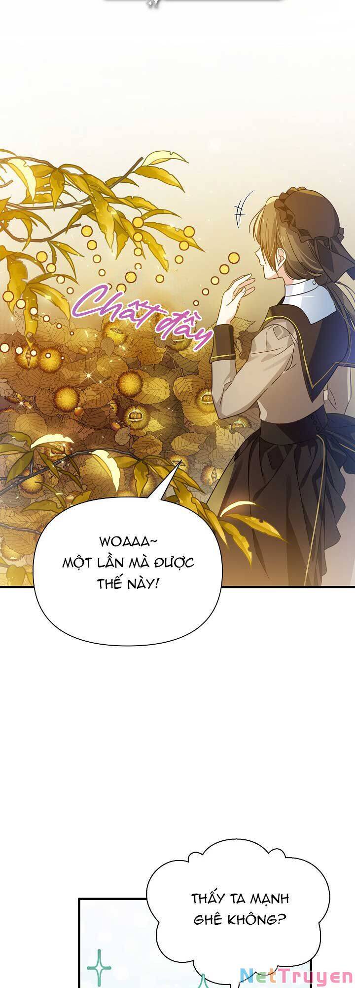 từ lúc bắt đầu tôi vẫn luôn ở bên em chapter 36 39