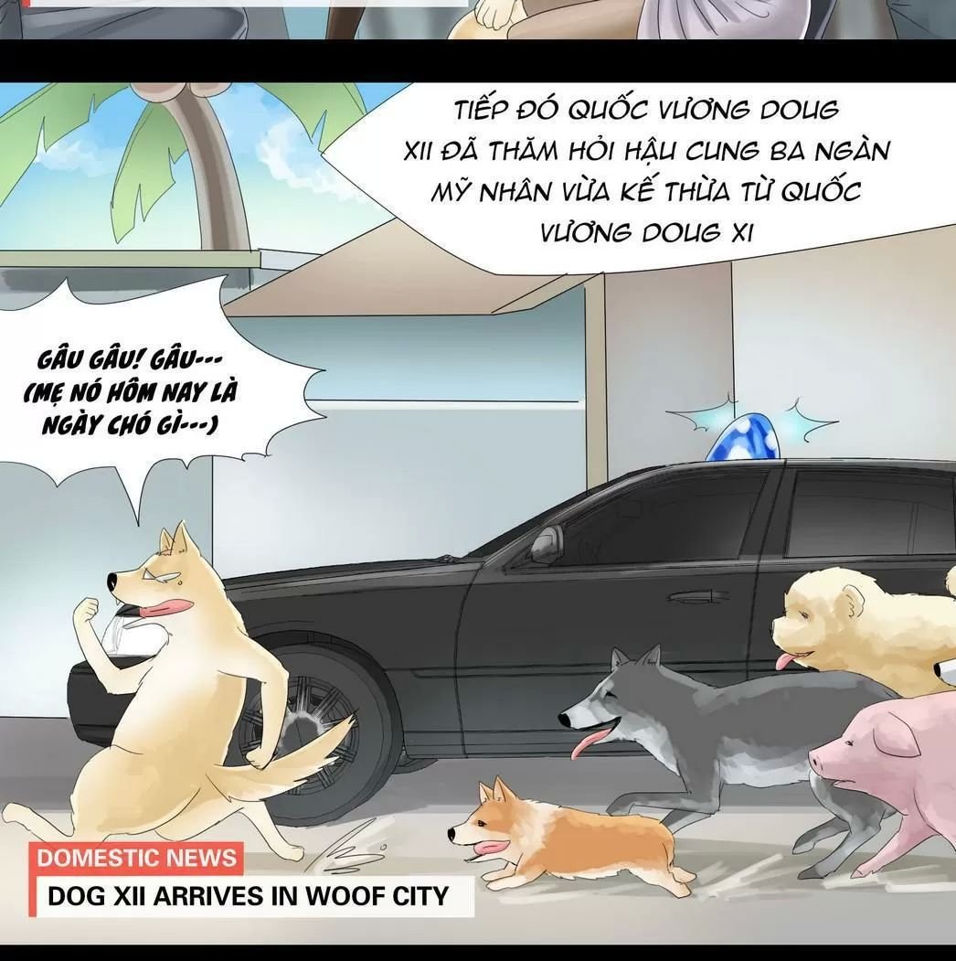 một con chó chapter 32 4