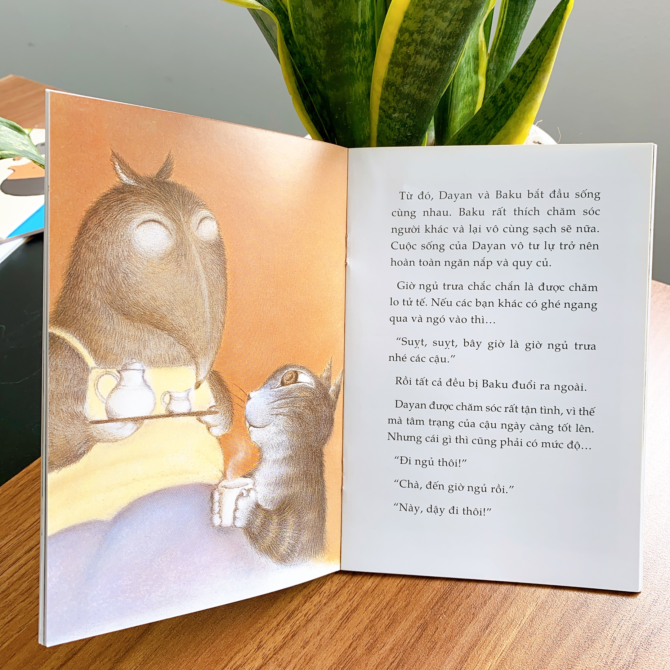 Sách cho trẻ từ 6 tuổi - Bộ Dayan 4 cuốn (Tranh truyện ehon Nhật Bản cho bé)